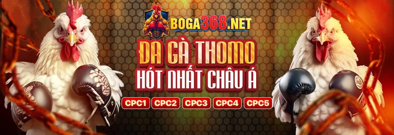 Đá gà trực tuyến kịch tính tại rick88 casino