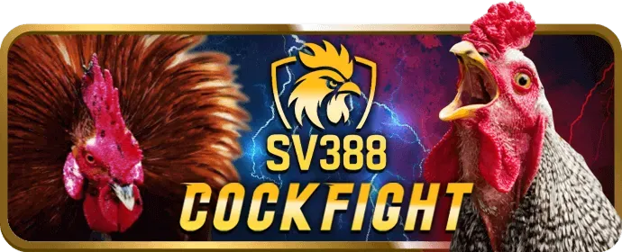 Các tính năng nổi bật của rick88 casino