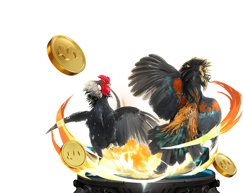 Hoàn trả hàng ngày không giới hạn tại rick88 casino